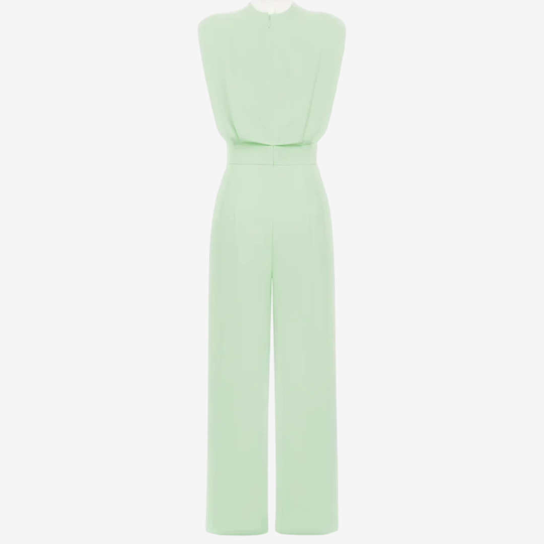 Ariia jumpsuit met gedefinieerde taille